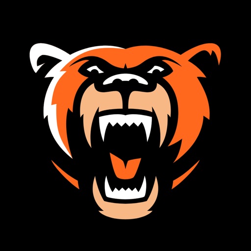 Grizzlys Wolfsburg VIP