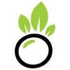 Bango Bowls App icon
