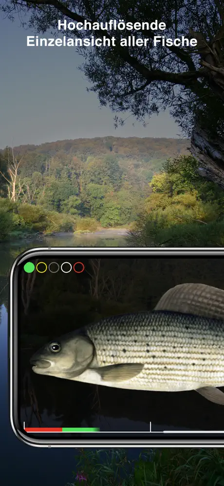 Fischführer Baden-Württemberg
