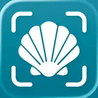 Sea Shell Identifier - AI ID