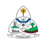 Get Clodiagh Gaels GAA for iOS, iPhone, iPad Aso Report