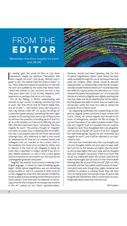 Believer Magazine screenshot-3