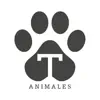 TOTEM ANIMALES App Positive Reviews