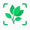 PlantKit - Tree Identifier app icon - Reference app for iPhone