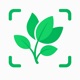 PlantKit - Tree Identifier app icon - Reference app for iPhone