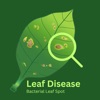 Plant Leaf Disease Detect