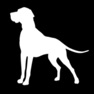 Get White Dog Studio for iOS, iPhone, iPad Aso Report