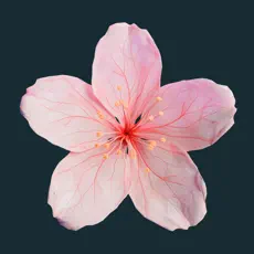 Walk Flower