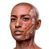 Complete Anatomy iPad - 3D4Medical from Elsevier