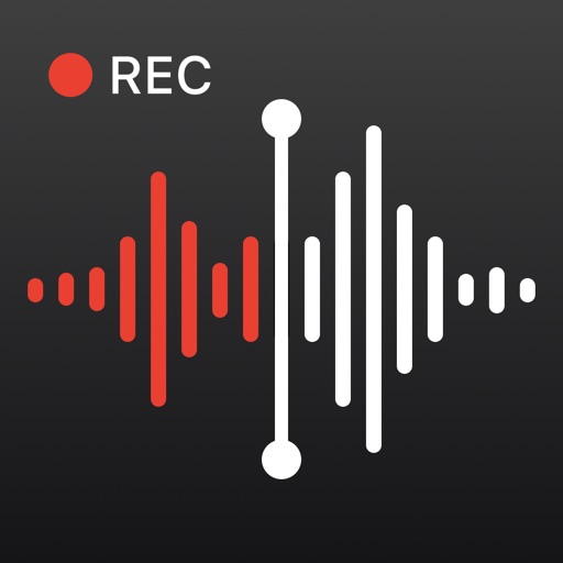 Voice Memos: AI Note Recorder