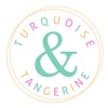 Turquoise and Tangerine icon