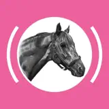 Revista Palermo Digital - Icono de la app