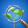Identify Any Plant Instantly icon