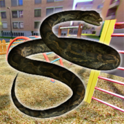 Python Snake Survival Sim