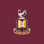 Bradford City AFC