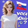 Learn Slovak Flashcards icon