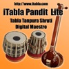 iTabla Pandit Lite icon