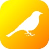 Britain UK Birds Dictionary - iPadアプリ