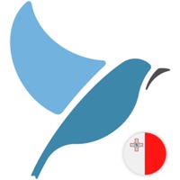 Bluebird logo