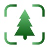 Tree Identifier - Leaf AI Scan icon