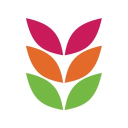 Pinnacle Flowers