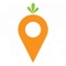 Use Carot to make your car smarter