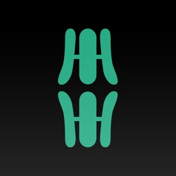 Wera-Tools