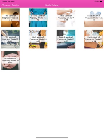 Pregnancy Due Date, Calculator iPad screenshot