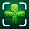 Plant Sickness Identifier Seek - HOOZA LTD