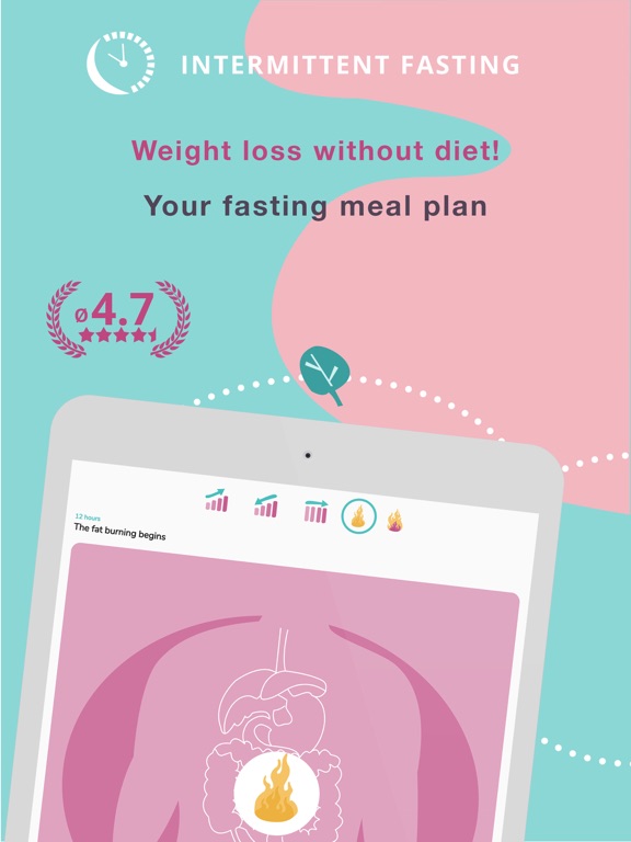 IF: Intermittent Fasting 16:8