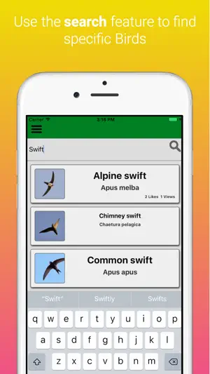 Britain UK Birds Dictionary screenshot 4