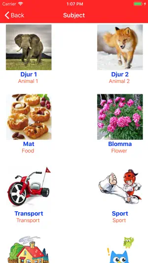 Learn Swedish Voca screenshot 3