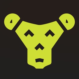 Brass Monkeys Studio