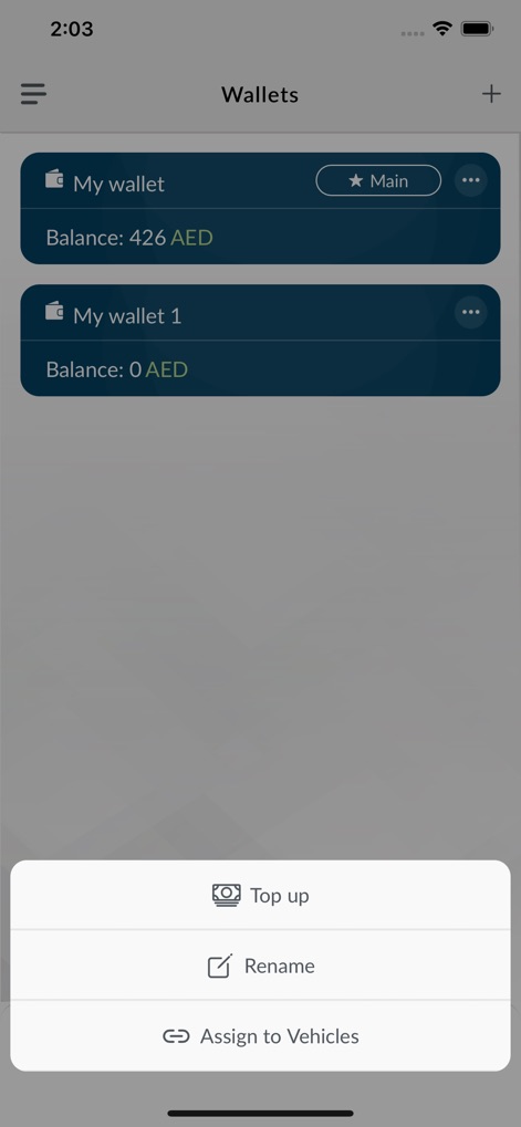 DARB - The app enables efficient financial management, displaying multiple wallets with their balances and offering actions like 'Top up' or 'Assign to Vehicles'.