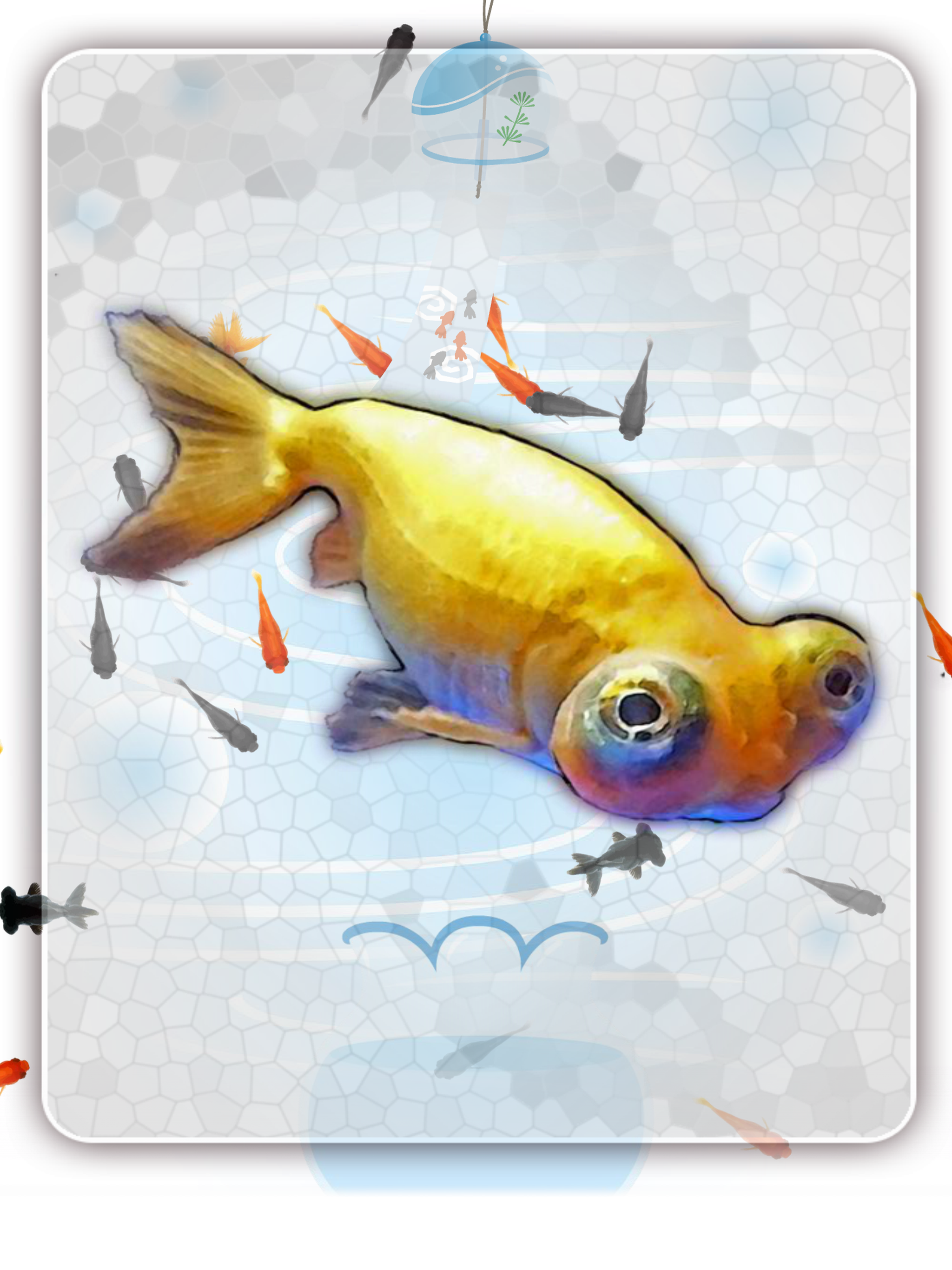 Goldfish scooping festival