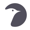 Messenger Pigeon icon