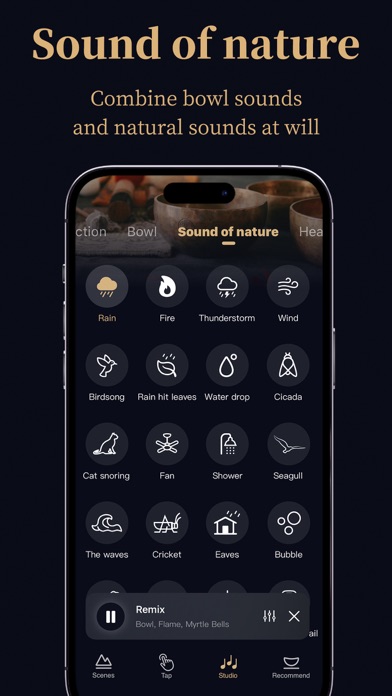 Tibetan Singing Bowls Bell Screenshot