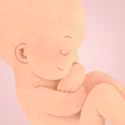 Newborn Tracker & Baby Center