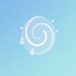 Nostalgia Walking Shoes