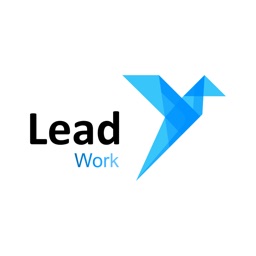 Lead Work