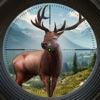 Trophy Hunter – Casual Hunting