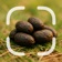 Droppings Identifier app icon - Education app for iPhone