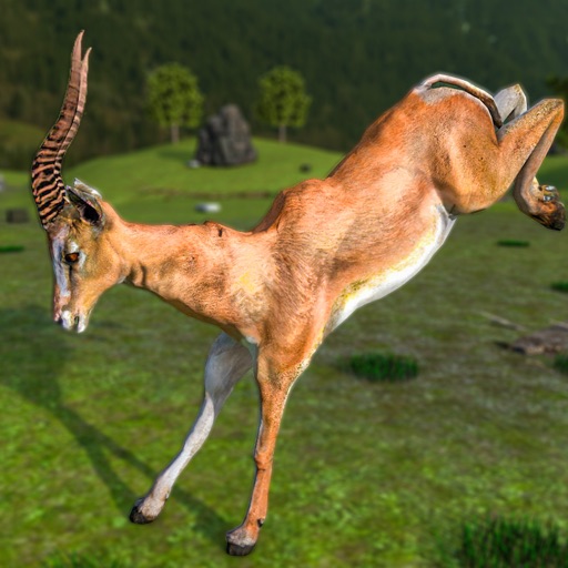 Animal Hunter : Hunting Games