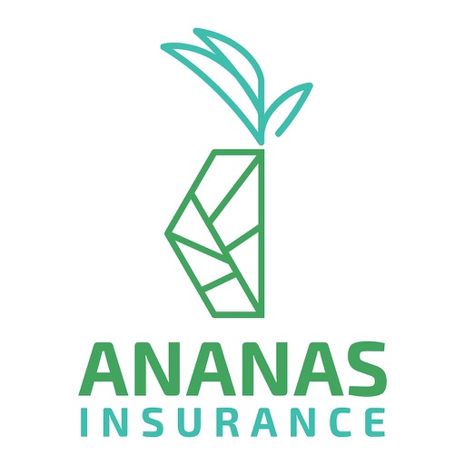 Ananas Insurance app icon