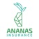Ananas Insurance app icon - Business app for iPhone
