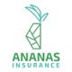 Ananas Insurance app icon - Business app for iPhone