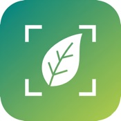 Grano : AI Plant identifier