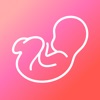 WeMoms - Pregnancy & Baby App icon