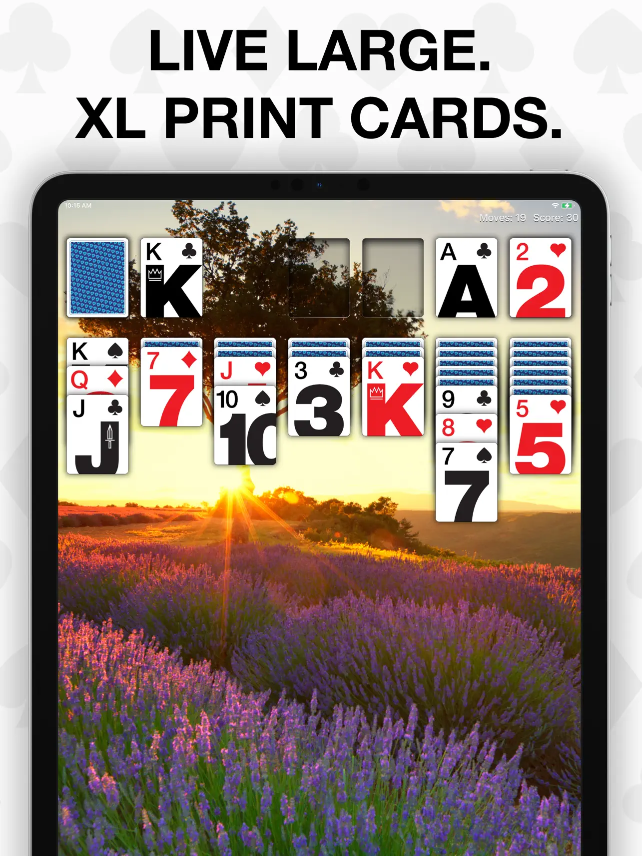 #3. Real Solitaire Pro for iPad (iOS) By: EdgeRift, Inc.