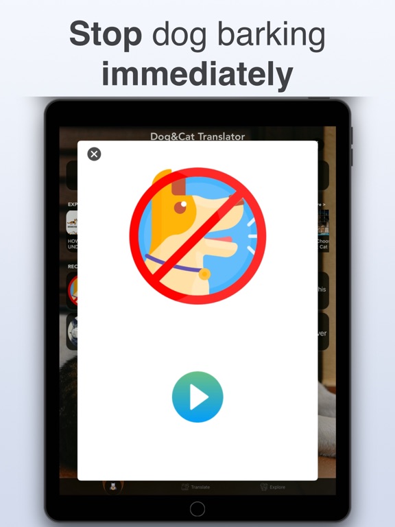 Dog & Cat Translator: Pet Chat iPad screenshot 6 - Entertainment app